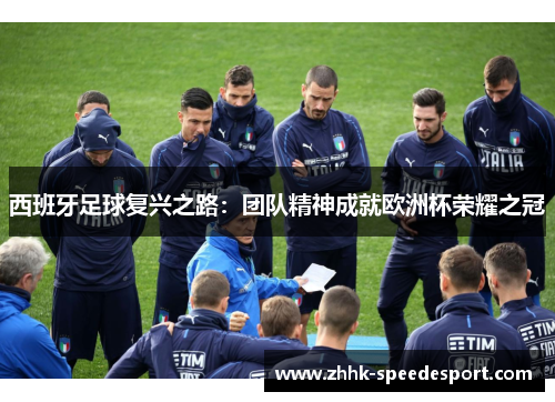 西班牙足球复兴之路：团队精神成就欧洲杯荣耀之冠