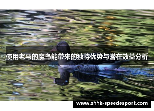 使用老马的魔鸟能带来的独特优势与潜在效益分析
