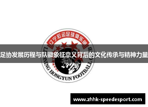 足协发展历程与队徽象征意义背后的文化传承与精神力量